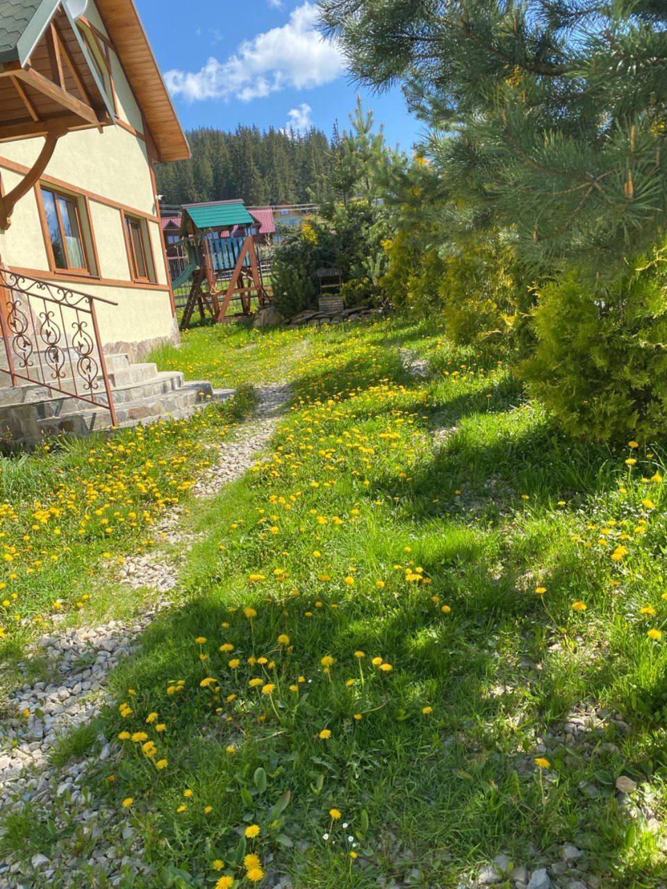 Chalet 888 Cottages Palyanytsya Dış mekan fotoğraf